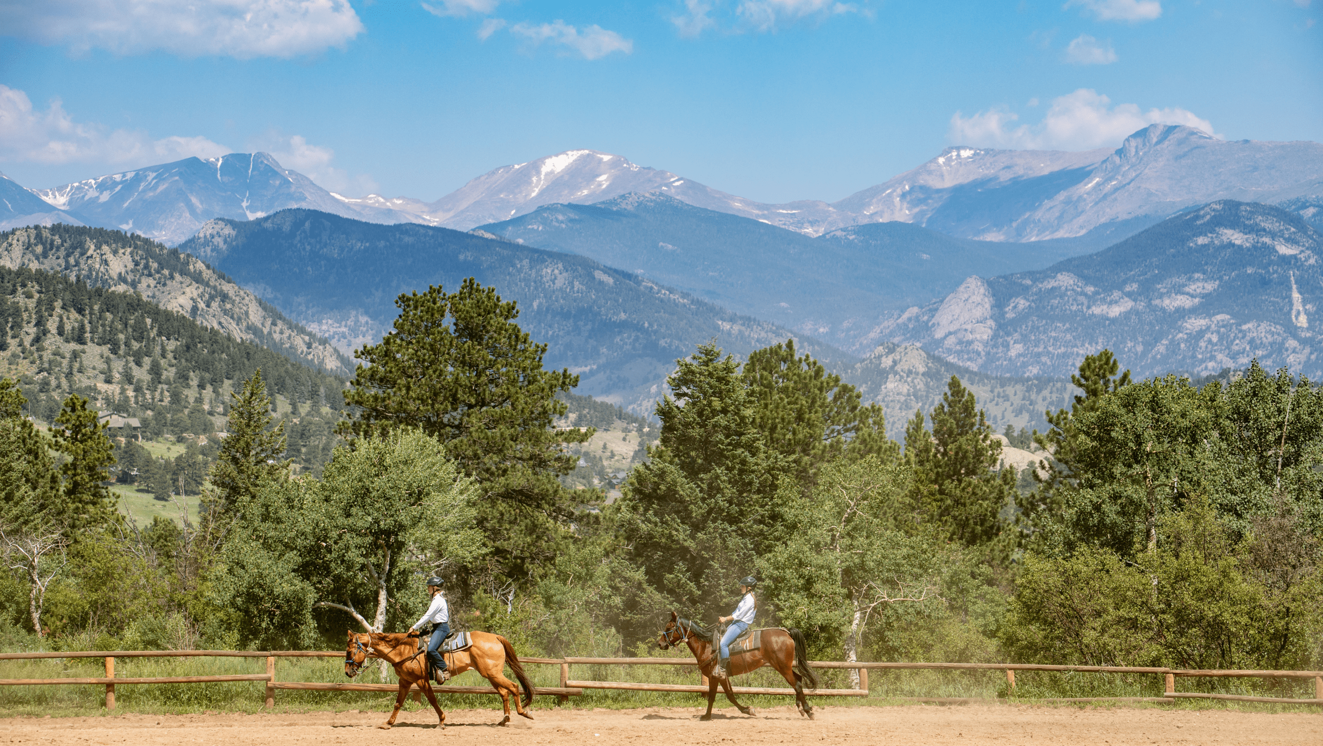 Horses and trees.