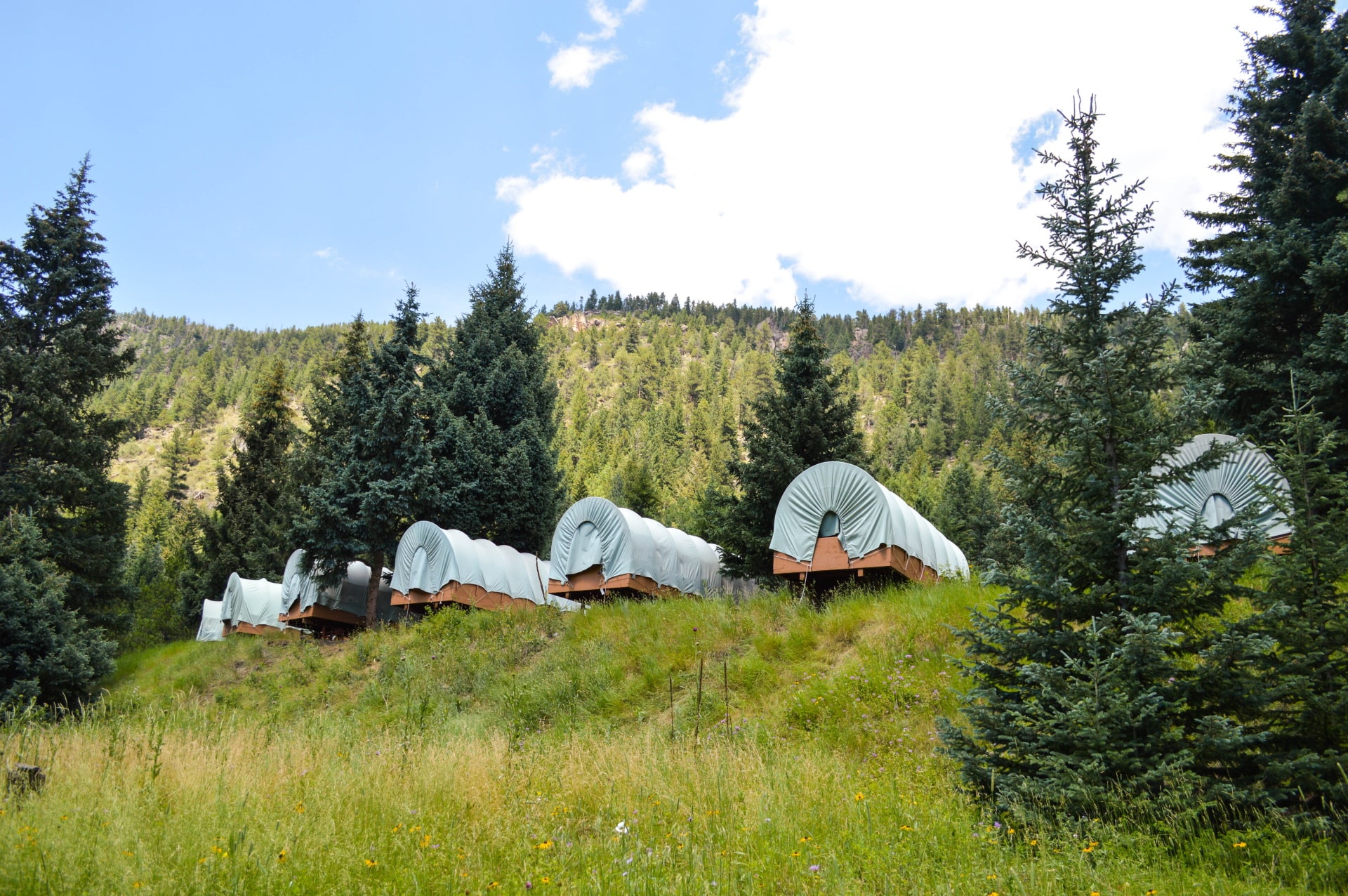 cheley colorado camps fire