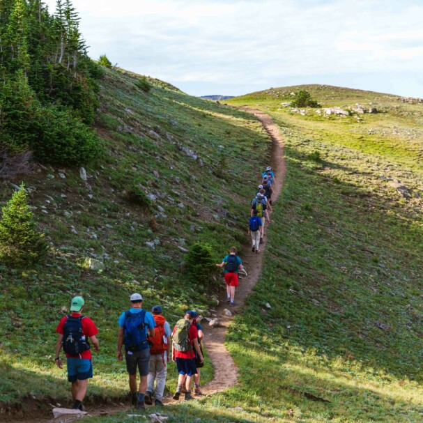 Boys hiking green path.