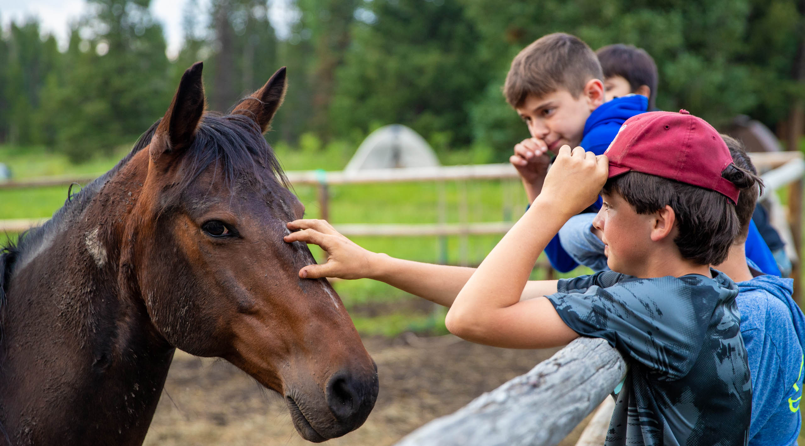 Boys petting horse.