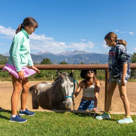 Girl holding horse talking to other girls.