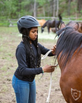 Camper brushing a horse.