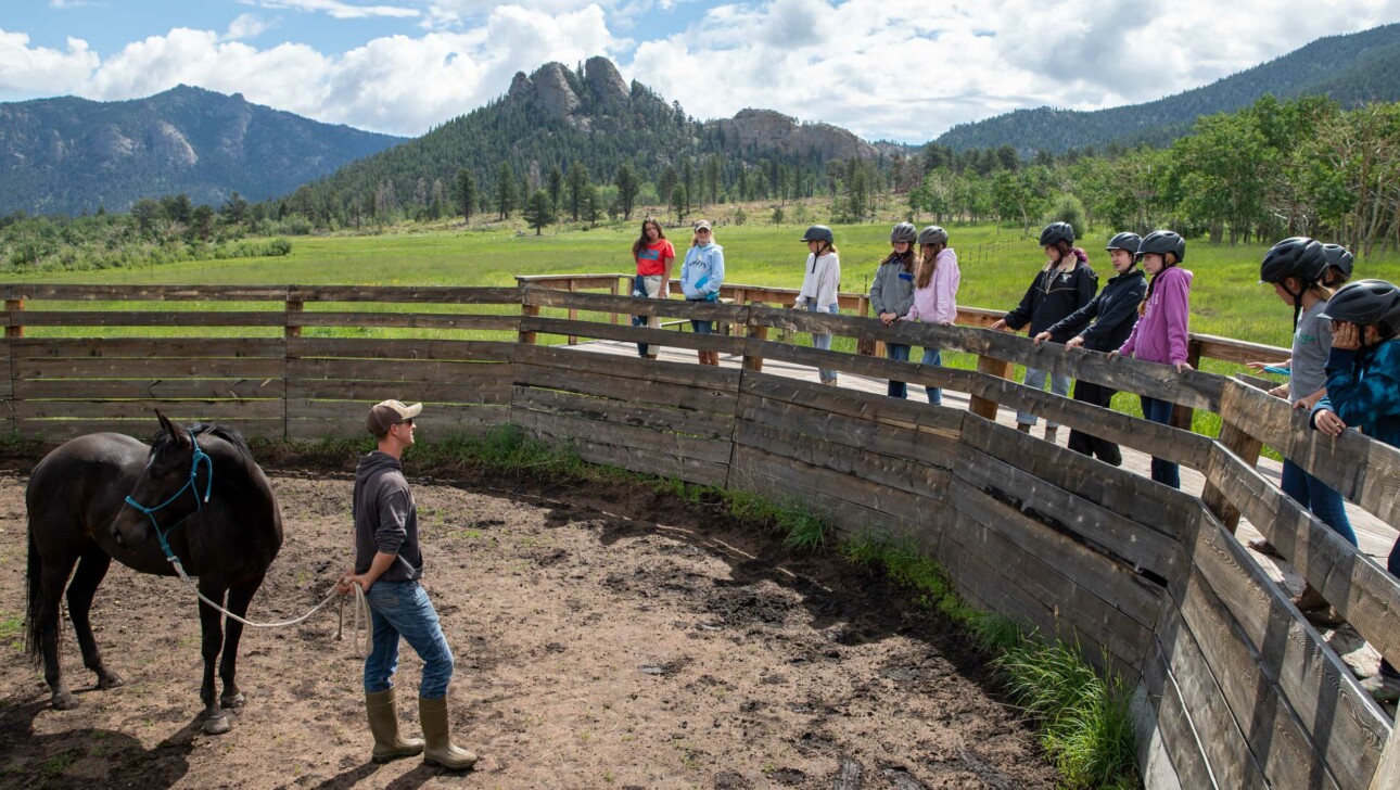 Man showing a horse to kids.