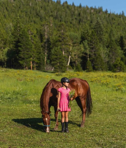 Girl holding flowers with horse.
