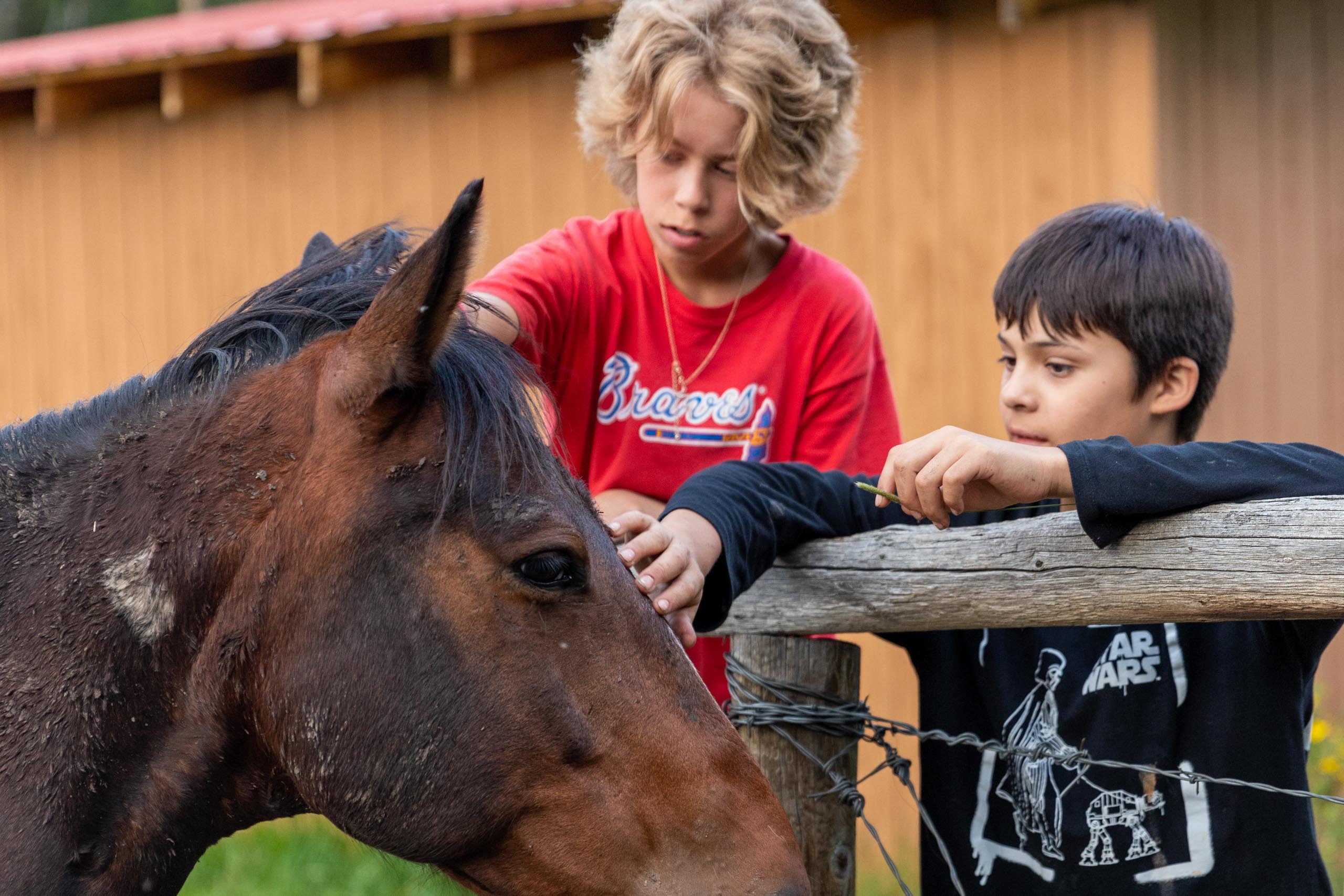 Boys petting horse.
