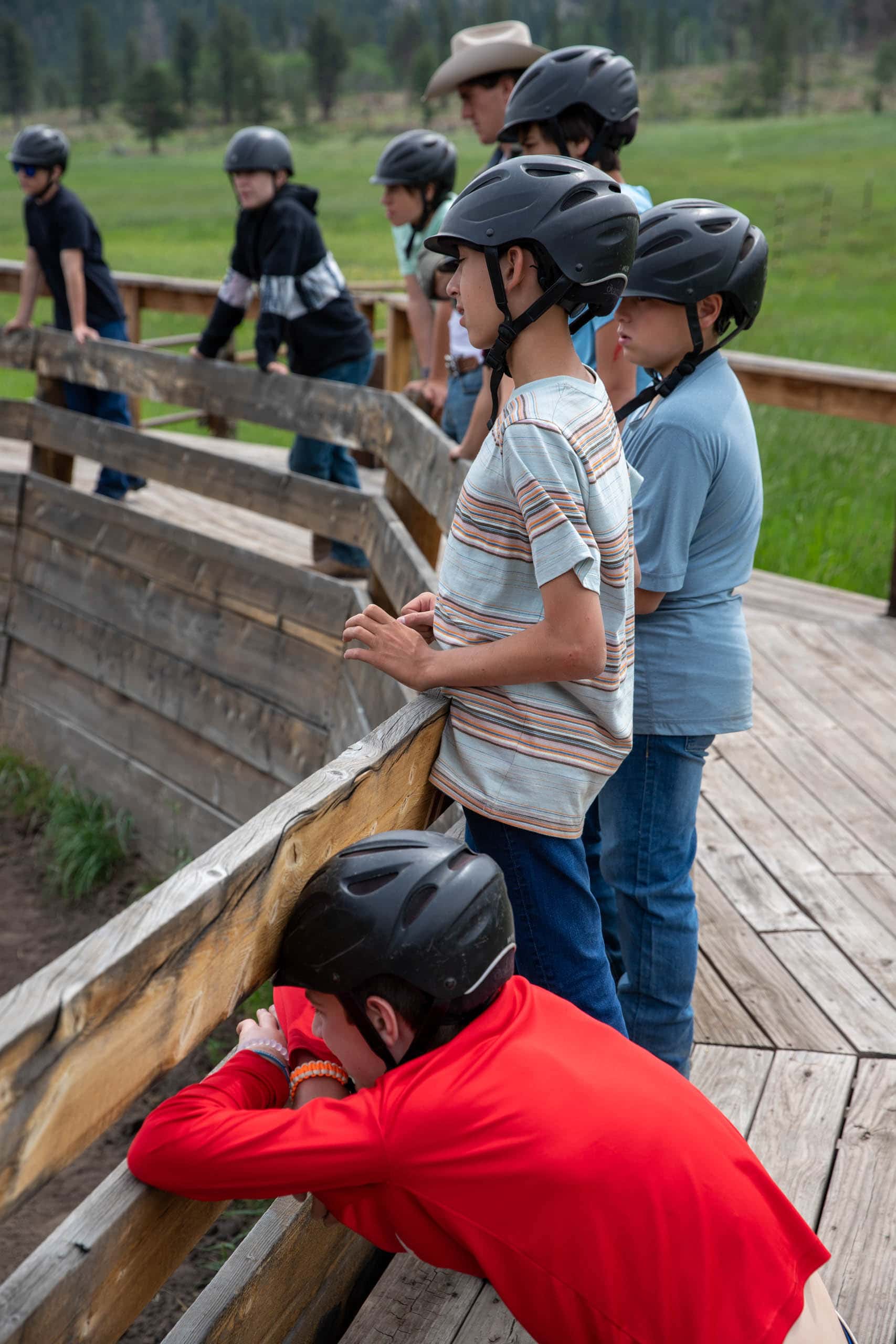 Campers watching the colts from a fence.