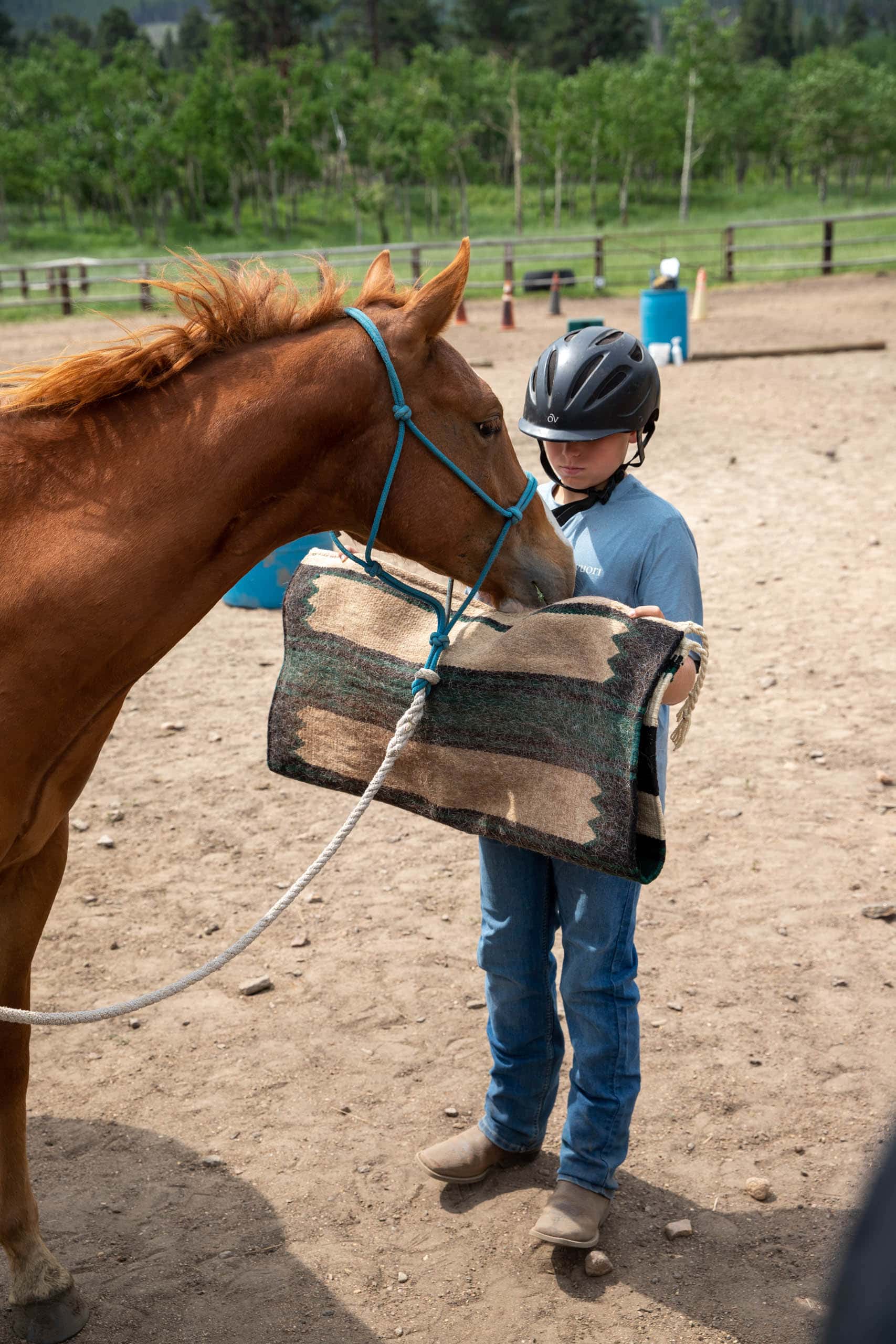 Camper holding a blanket to a colts nose.