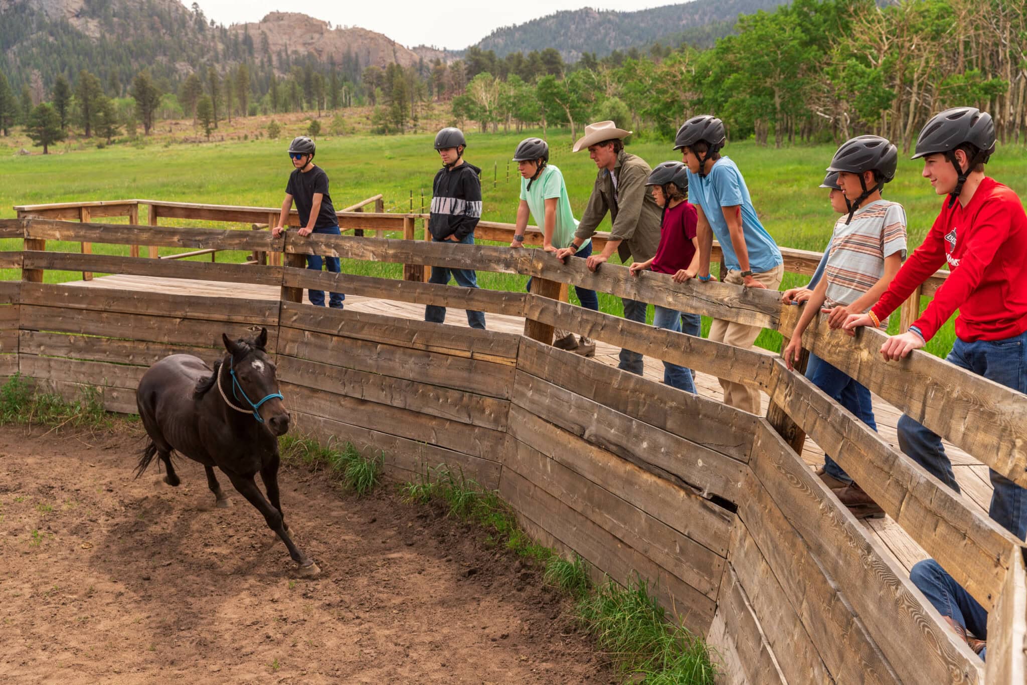 Colt running in a corral while campers watch.
