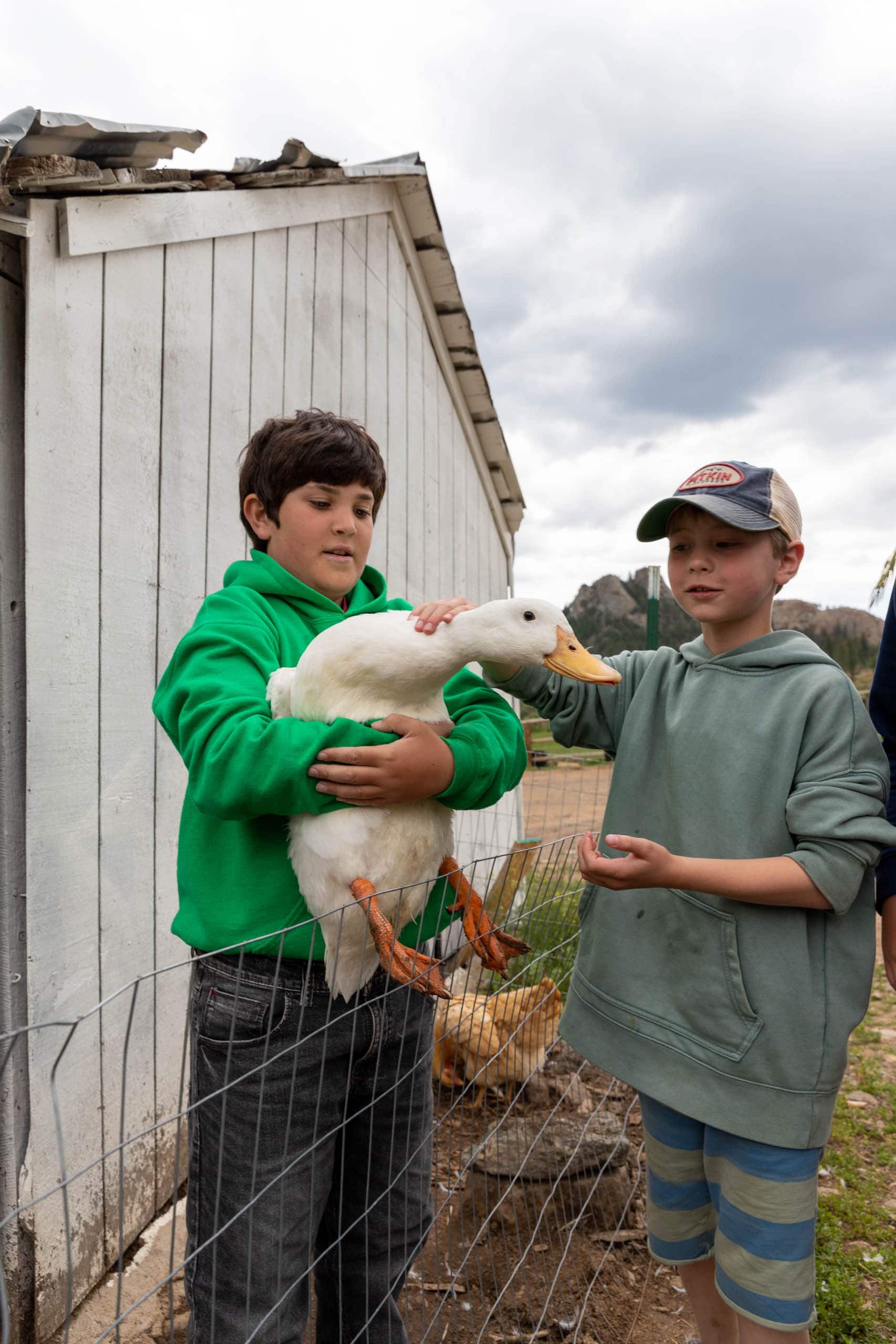 One camper holding a duck and another camper petting the duck.