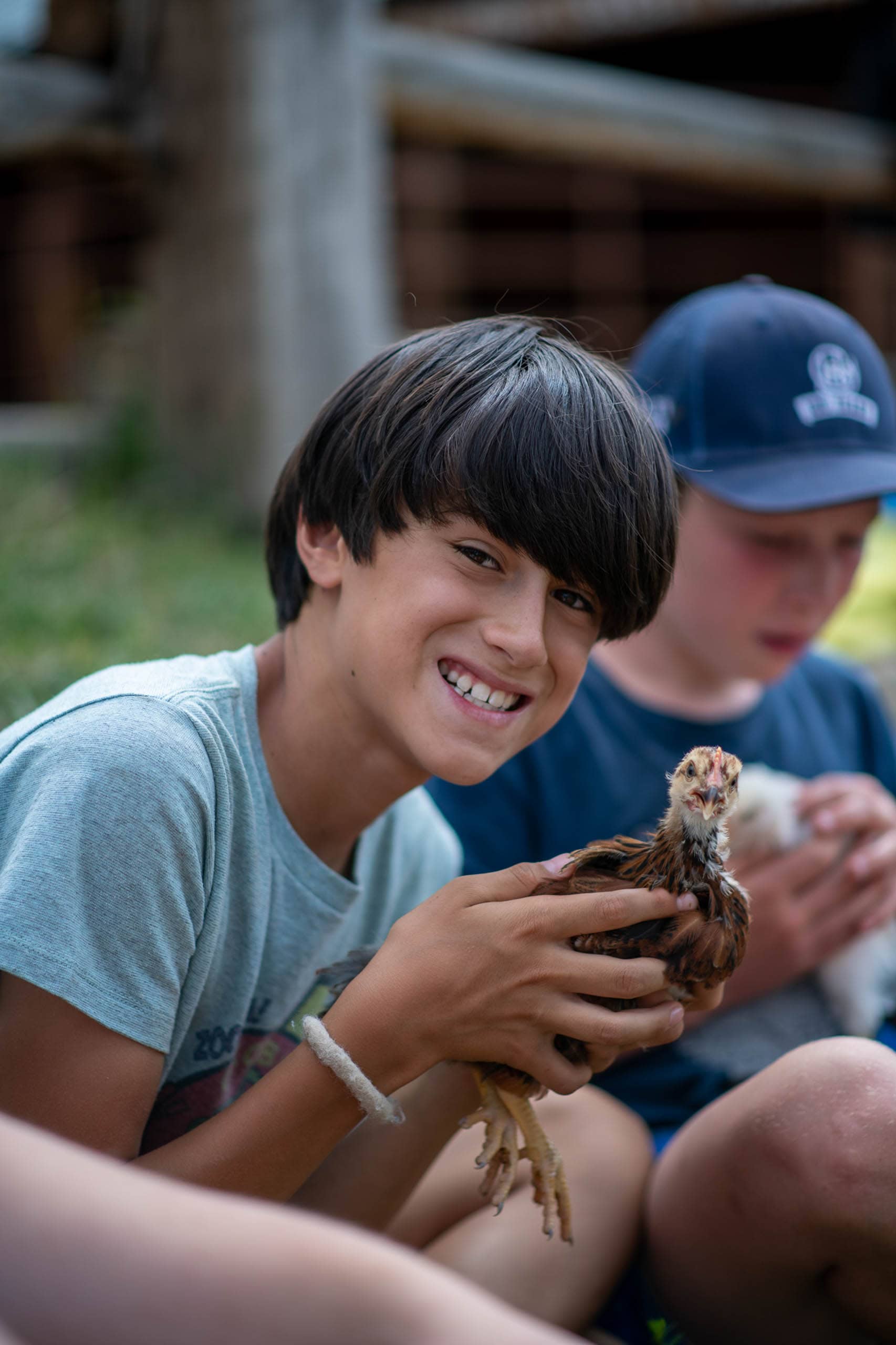 Campers holding small chickens.