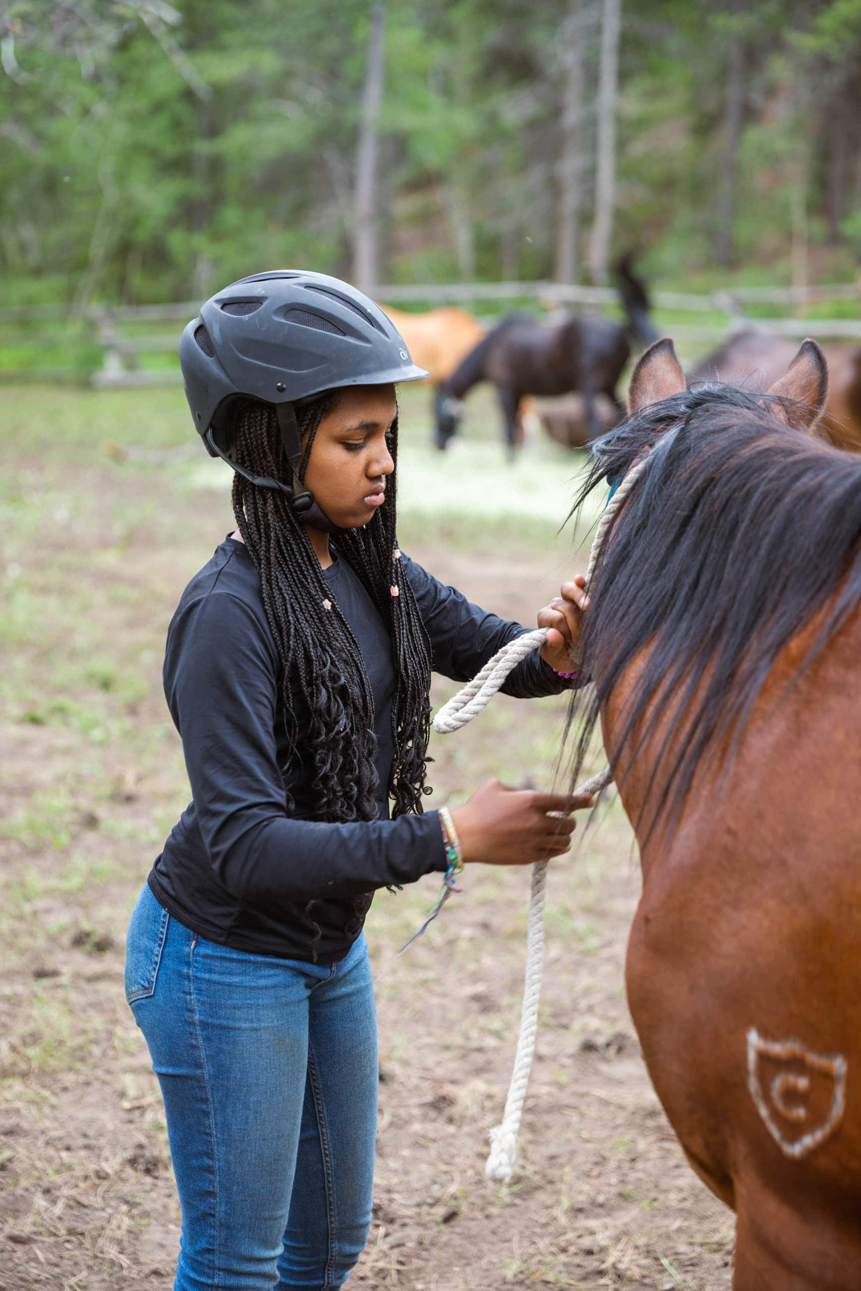 Camper brushing a horse.