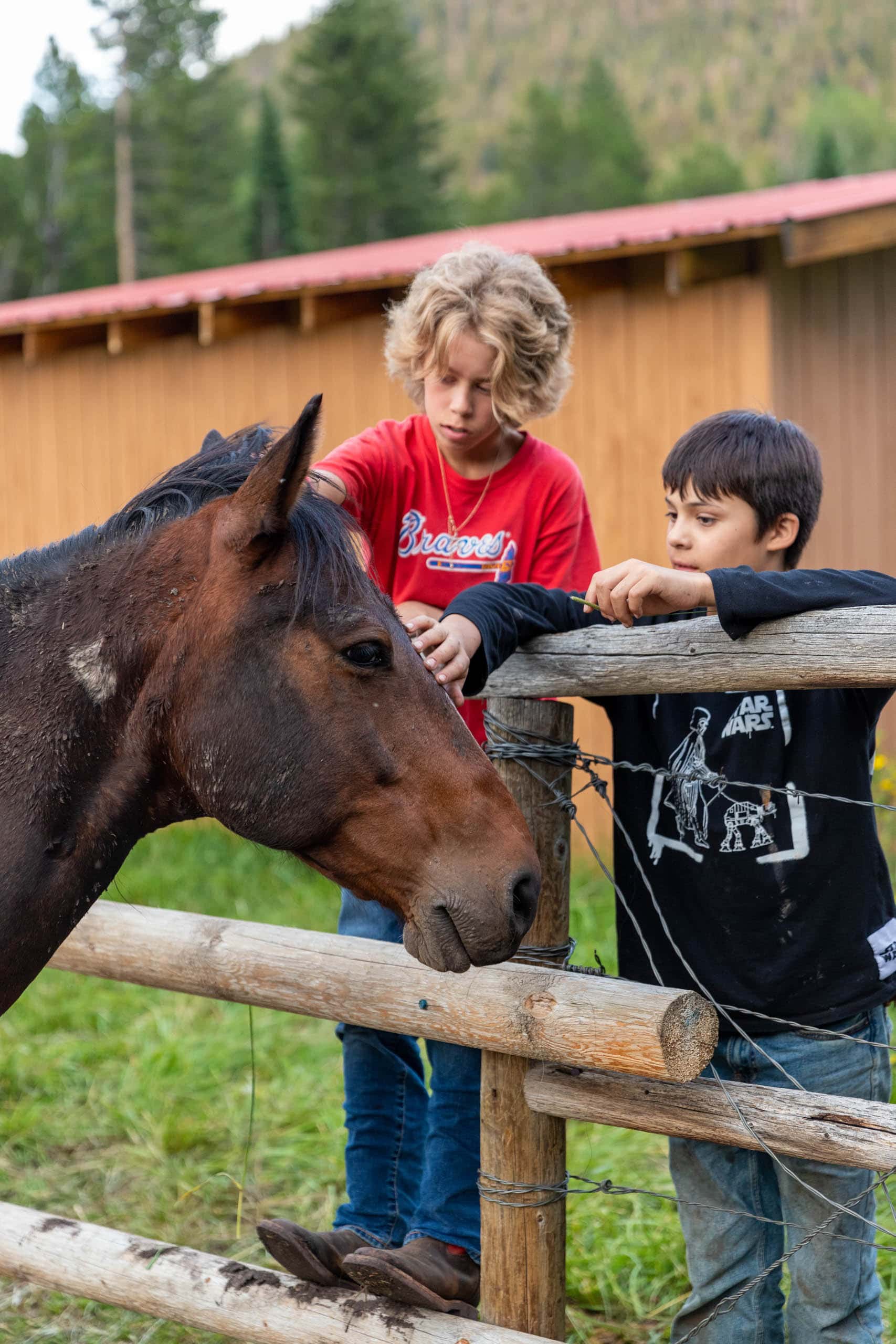 Campers petting a horse.