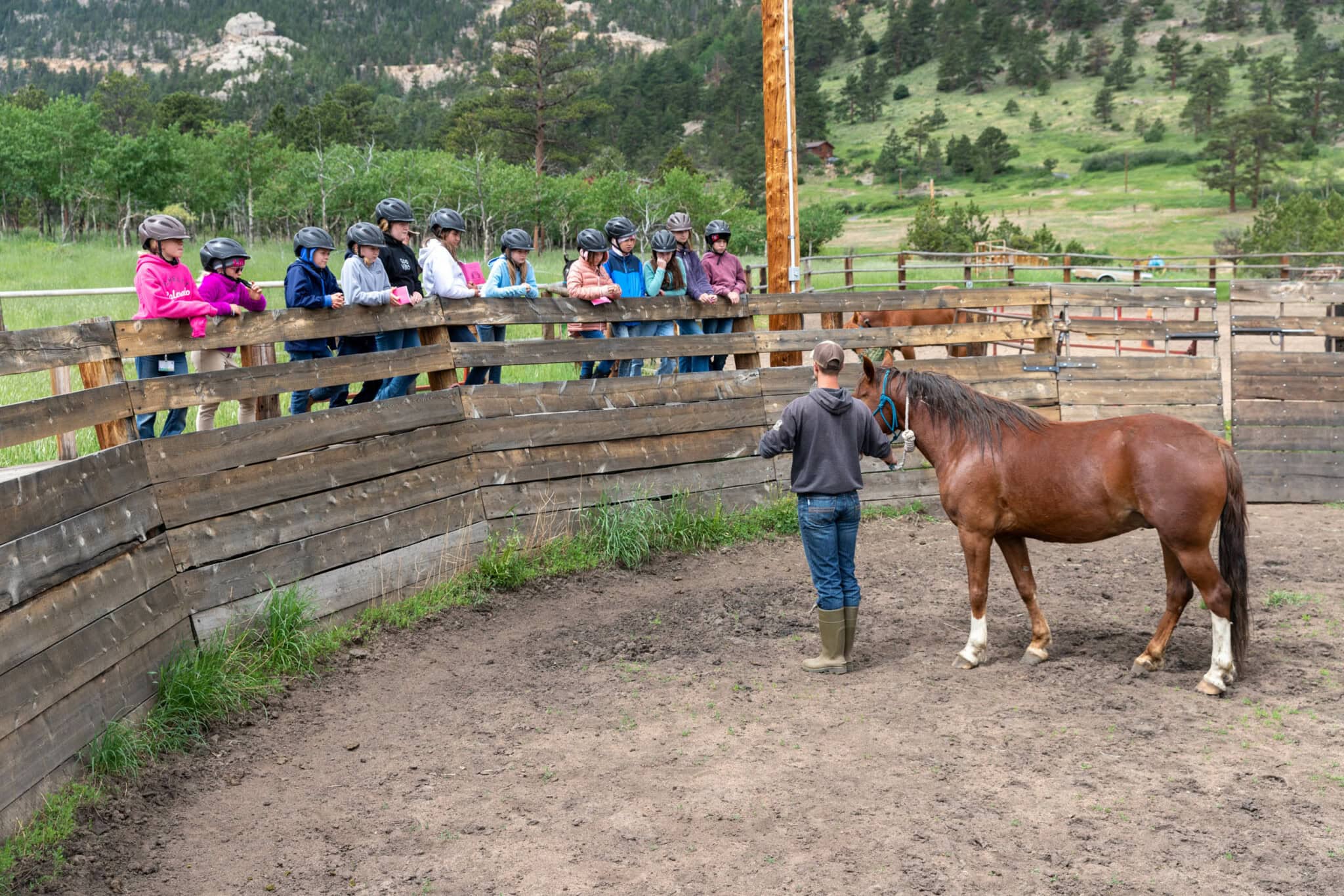 Instructor showing a colt to campers.
