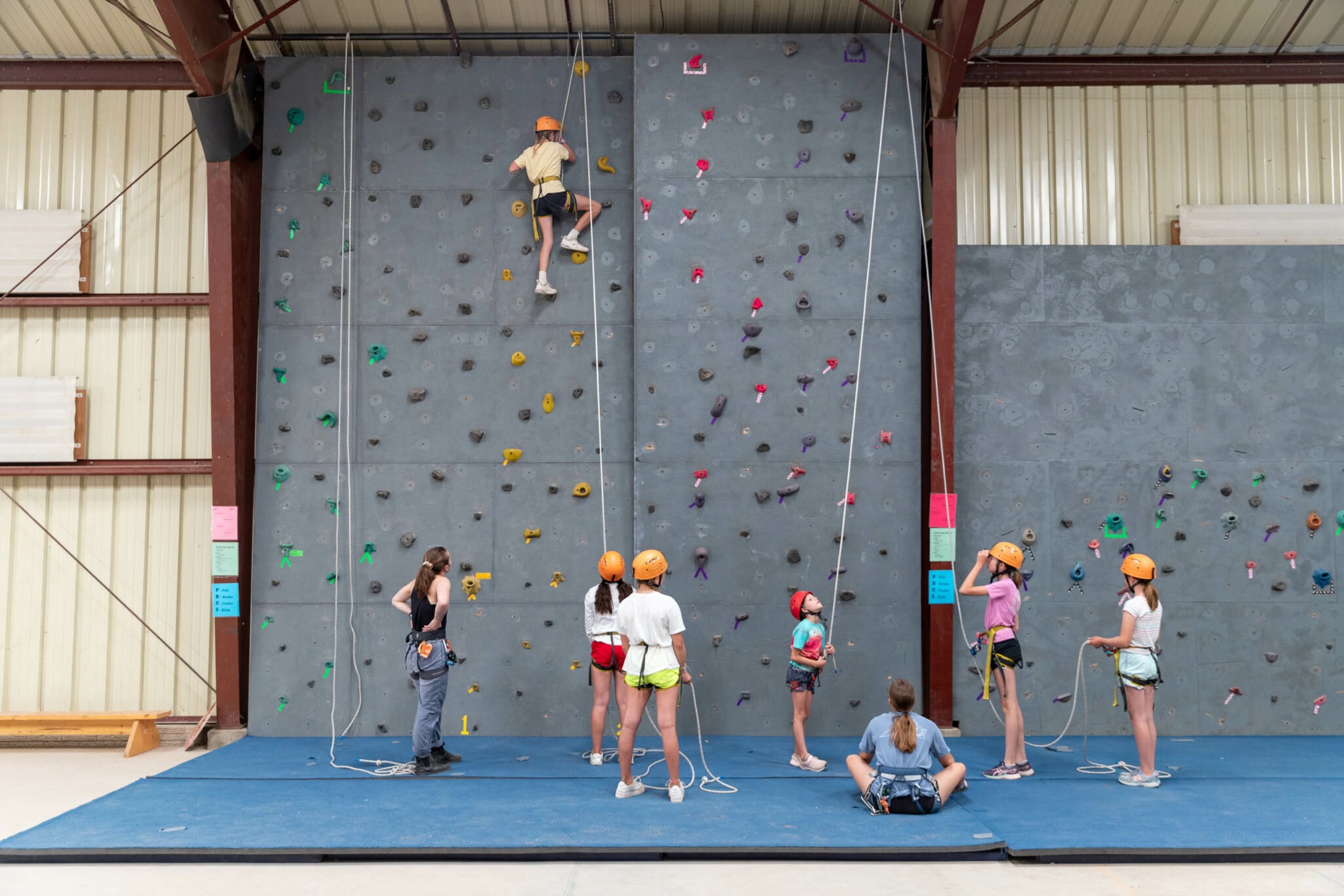 Camper reaching the top of the rock wall.