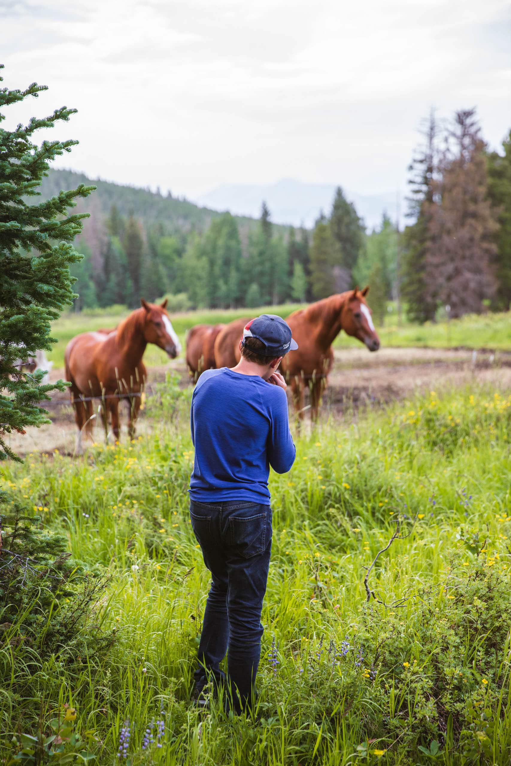 Camper watching horses grazing.