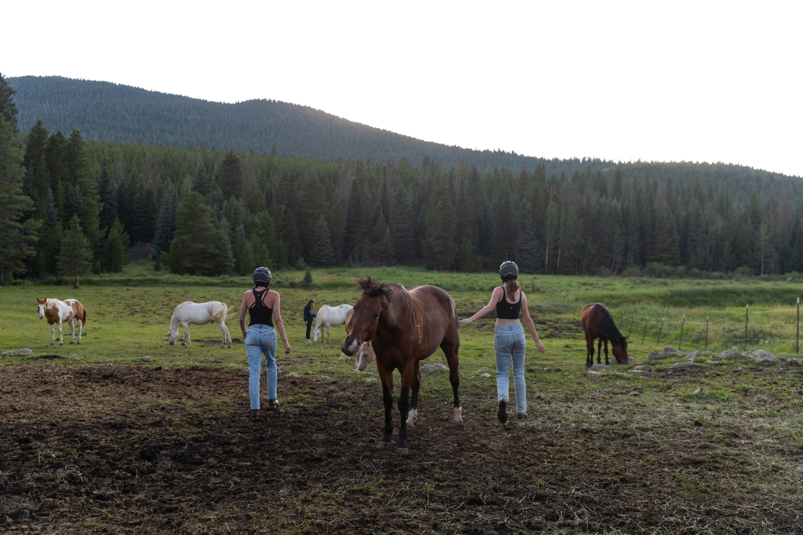 Girl petting horse.