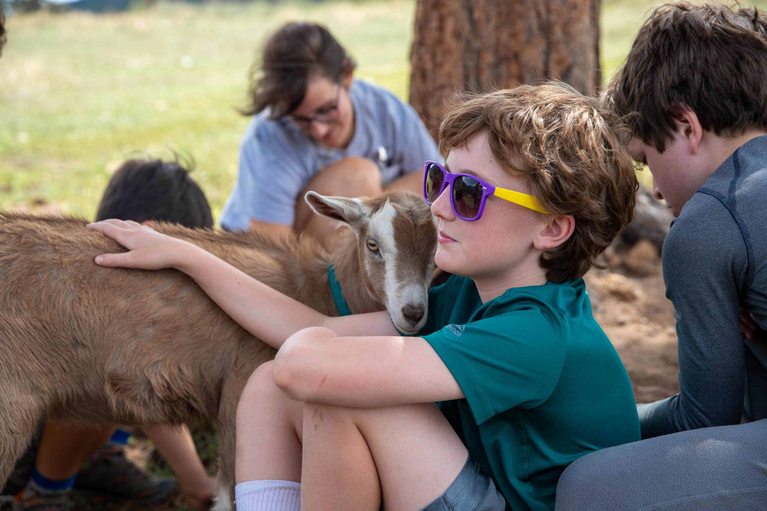 Little ranchers.