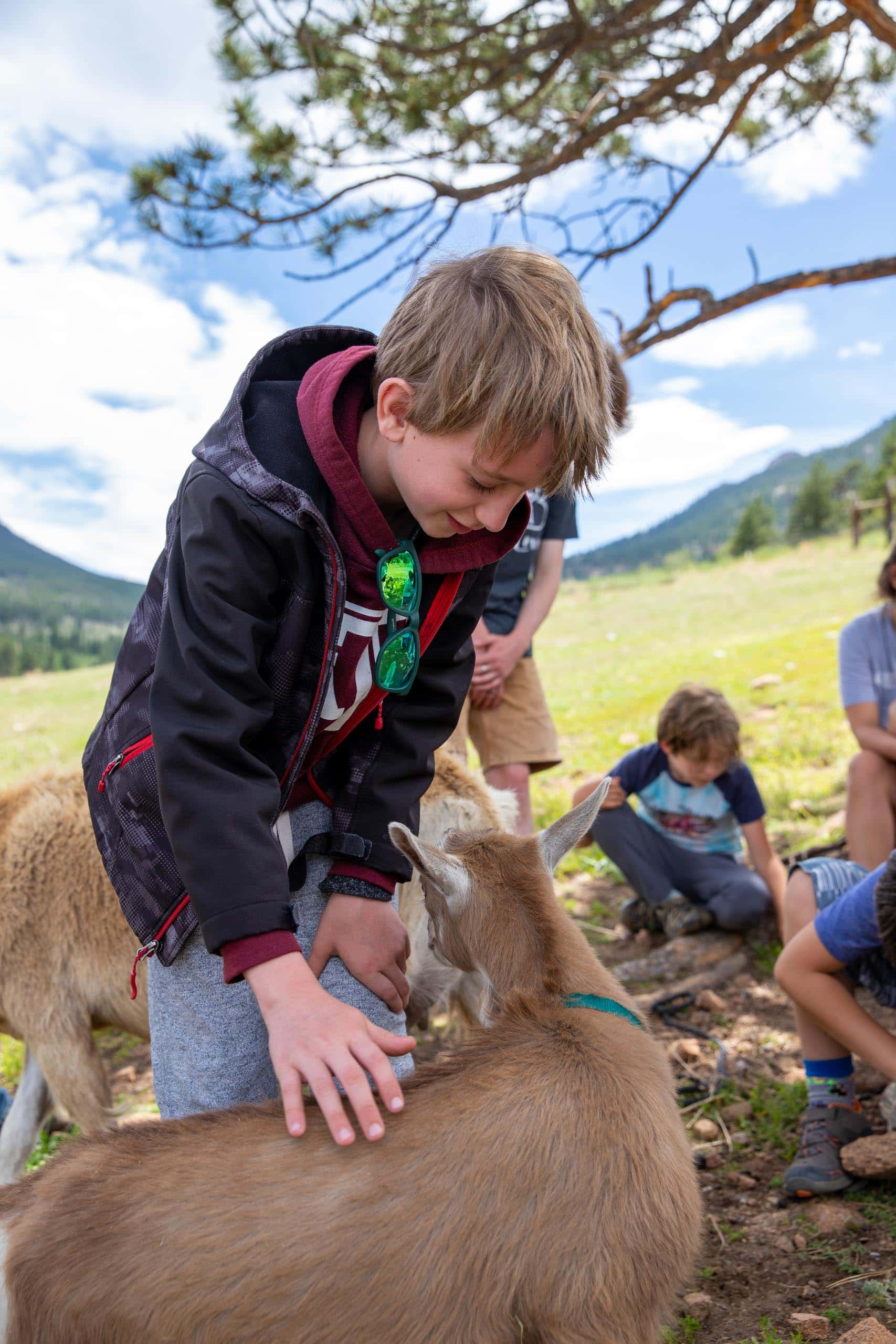 Little ranchers.